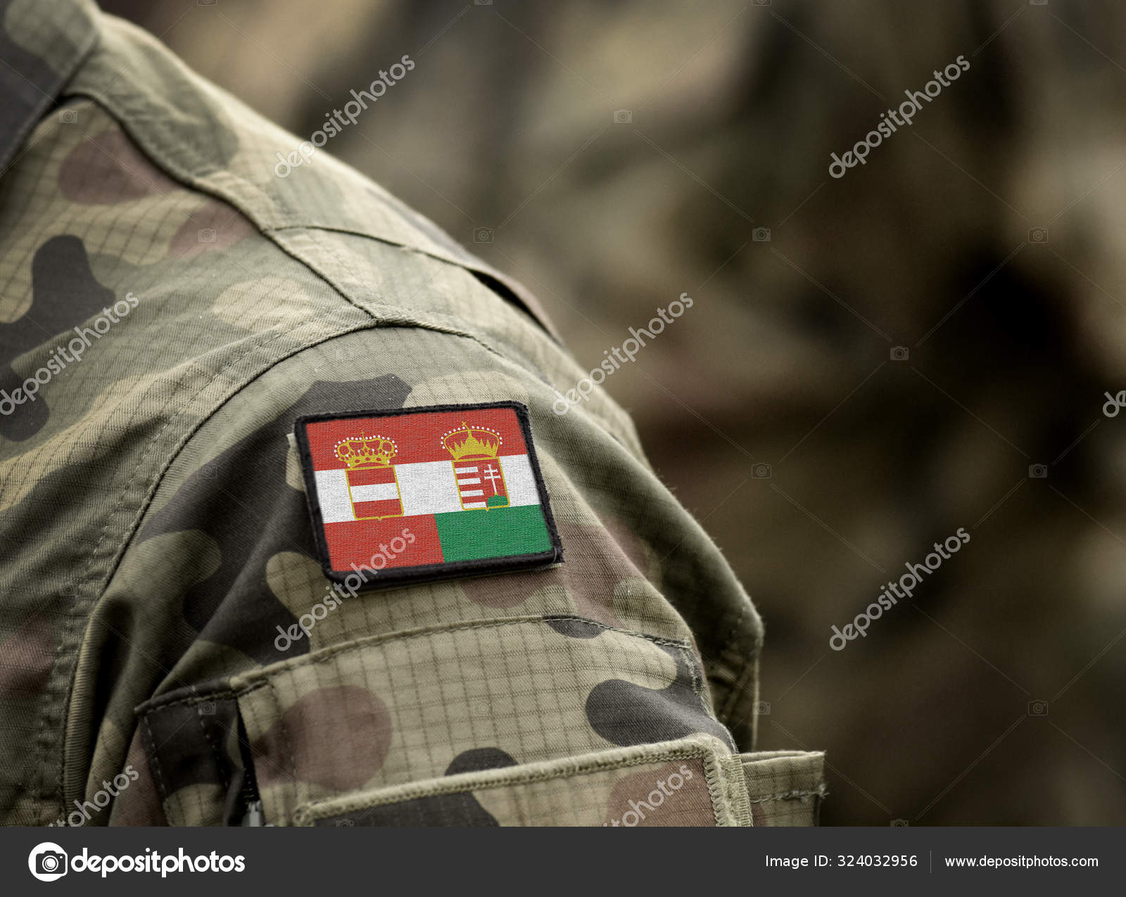 奥地利-匈牙利或奥匈帝国的国旗（1867-1918年） 。 军队，士兵。 大学生活. ——图库图片© Bumble-Dee #324032956