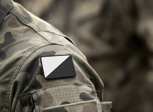 Флаг анархо-пацифизма на военной форме. Пацифистский анархизм или анархический пацифизм
.