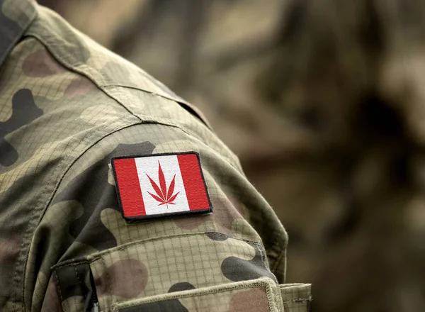 Konopí v Kanadě. Konopný list nahrazuje javorový list na kanadské vlajce. Konopí v armádě. — Stock fotografie