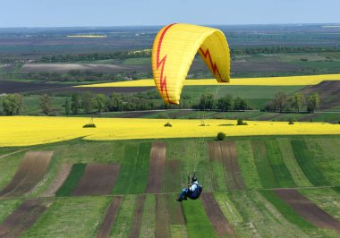 Paraglider güneşli bir günde tarlaların üzerinde uçuyor. Mavi gökyüzünde paraglider. koleseed alanları