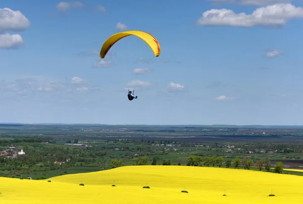 Paraglider Přeletěl Nad Poli Slunečného Dne Paraglider Modré Obloze Pole — Stock fotografie