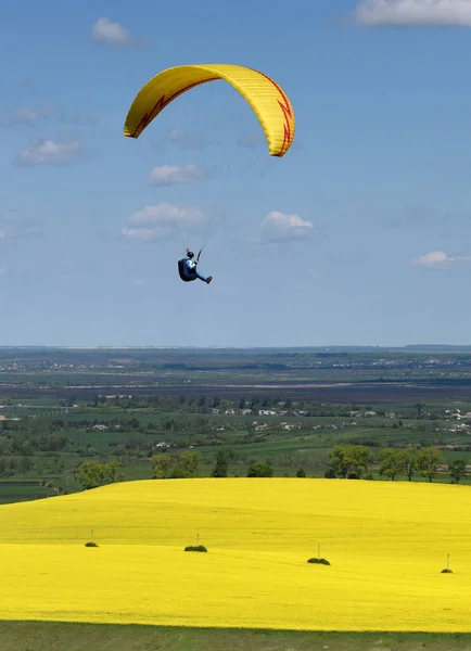 Paraglider Přeletěl Nad Poli Slunečného Dne Paraglider Modré Obloze Pole — Stock fotografie