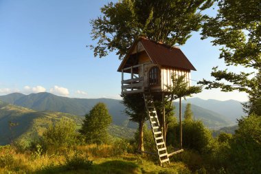 Dağlarda ağaç ev, bir çocuk ağaç evi.
