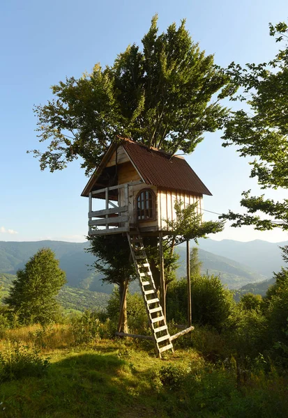 Casa Árvore Nas Montanhas Uma Casa Árvore Infantil — Fotografia de Stock