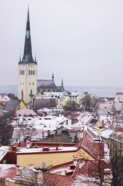 Tallinn çatılar