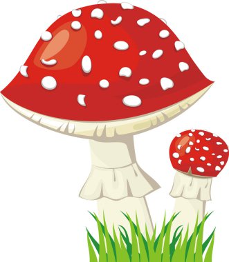 iki sinek agaric bir çim