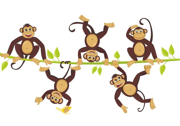 Macacos alegres brincam em uma videira Macacos alegres brincam em uma videira — Vetor de Stock