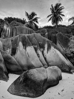 İnanılmaz bir tropikal plajın siyah ve beyaz fotoğrafı Anse Kaynağı d 'Argent granit kayalar, La Digue Adası, Seyşeller