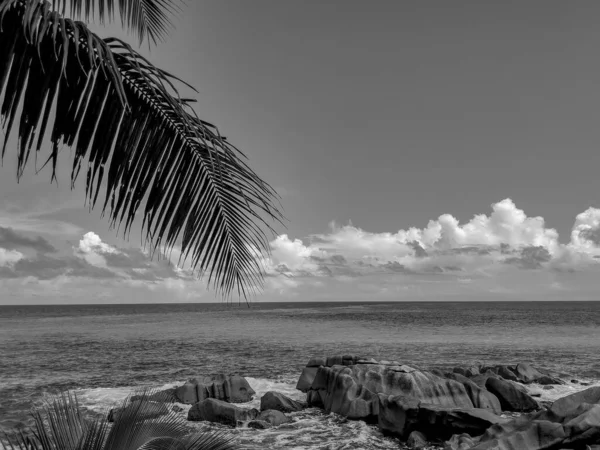 Fekete Fehér Photography Digue Island Sziklák Intenzív Kék Vizek Pálmafák — Stock Fotó