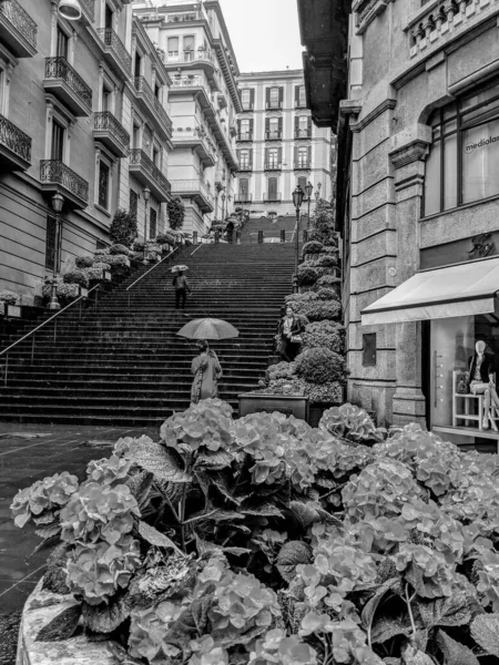 Czarno Biała Fotografia Kwiatów Hortensji Ulicach Napoli Deszczowy Dzień Miejskie — Zdjęcie stockowe