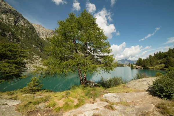 Paesaggio Delle Alpi Italiane — Foto Stock