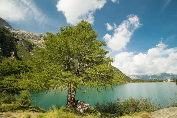 Landschaft Der Italienischen Alpen — Stockfoto
