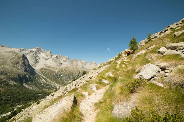 Summer Landscape Italian Mountains — Stock Photo, Image