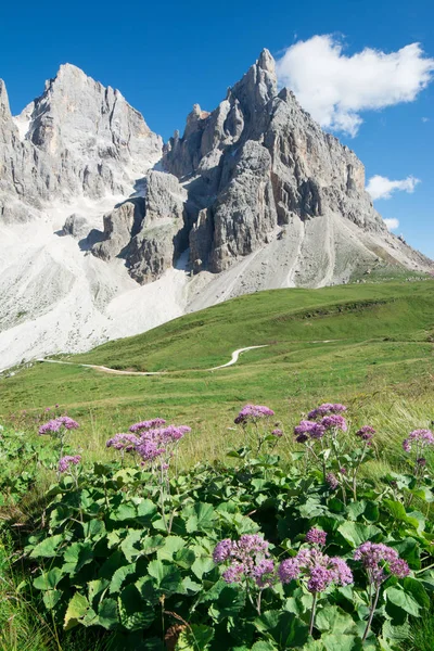 Пейзаж Итальянских Альп — стоковое фото