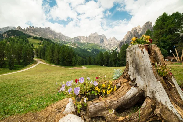 Landscape Dolomites Summer Stock Photo