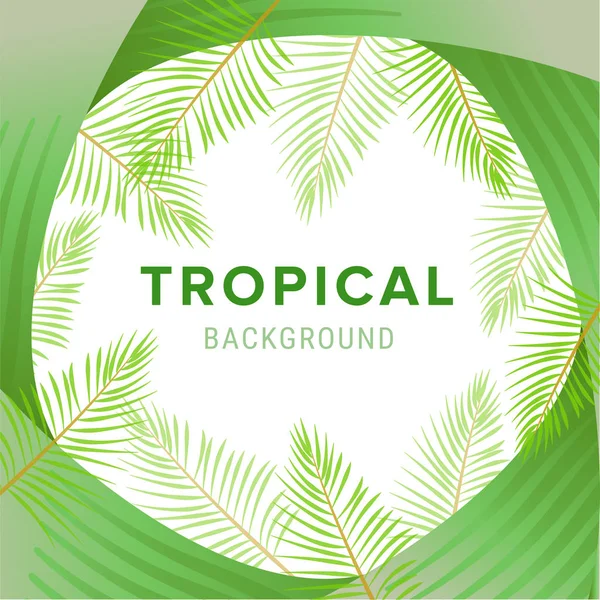 Tropikal palmiye yaprakları, orman yaprak vektör çiçek desenli arka plan.