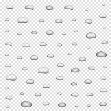 Saydam arka plan vektör çizim üzerinde gerçekçi su damlaları