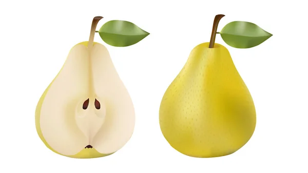 Pears set vector illustration on white background — Stock Vector