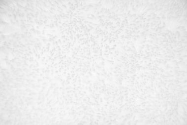 White felt texture background clipart