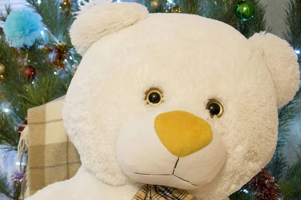Мишка Тедди крупным планом. Милая игрушка над украшенной сосной. Рождественский или новогодний подарок — стоковое фото