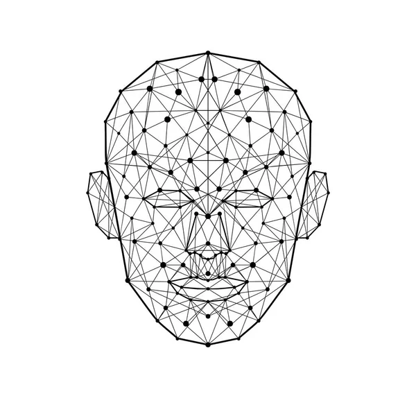 Человеческое лицо с низким полигоном. Wireframe пюре форме головы изолированы на белом фоне. Векторная миграция — стоковый вектор