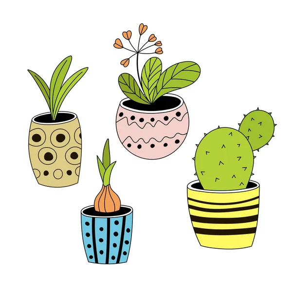 Conjunto de quatro vasos de plantas em estilo desenhado à mão . —  Vetores de Stock