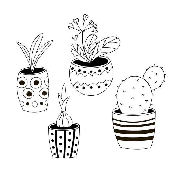 Conjunto de quatro plantas em vaso incolores em um estilo desenhado à mão . — Vetor de Stock