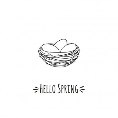 Kuş yumurtaları ve yazıt Merhaba bahar ile rahat yuva. 