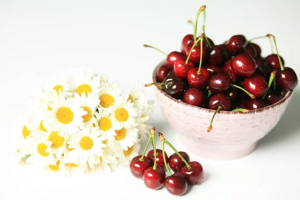 Margaridas de cereja — Fotografia de Stock