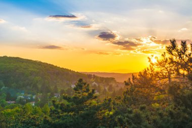Ormanlık bir yamaçta günbatımı