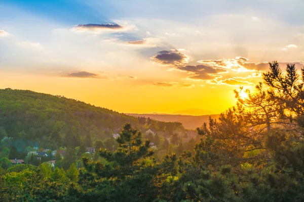 Ormanlık bir yamaçta günbatımı