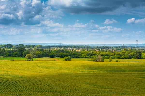 Cloudy skies above green fields — Stock Photo, Image