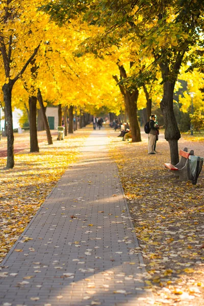 Hösten gångväg, gul — Stockfoto