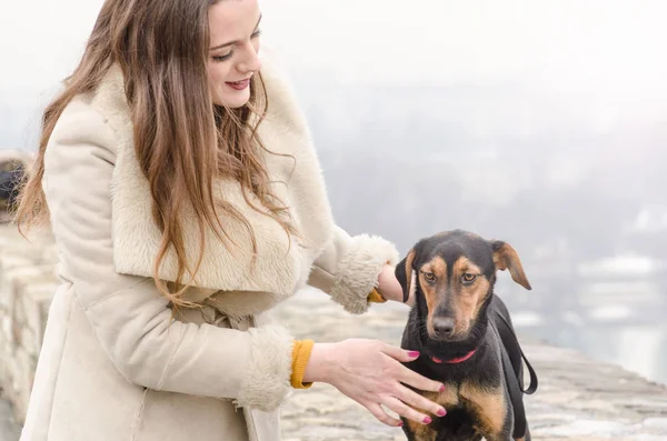 Reazione del cane a uno sconosciuto e donna amano cane — Foto Stock