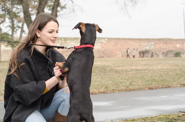 見知らぬ人と女性の愛の犬の犬の反応 — ストック写真