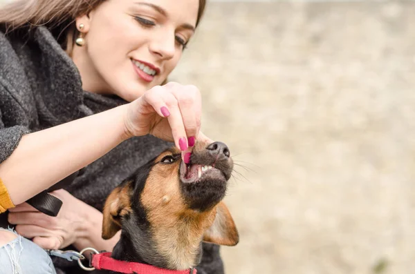 Ragazza mostra i denti il suo cane e controllare quanti anni — Foto Stock