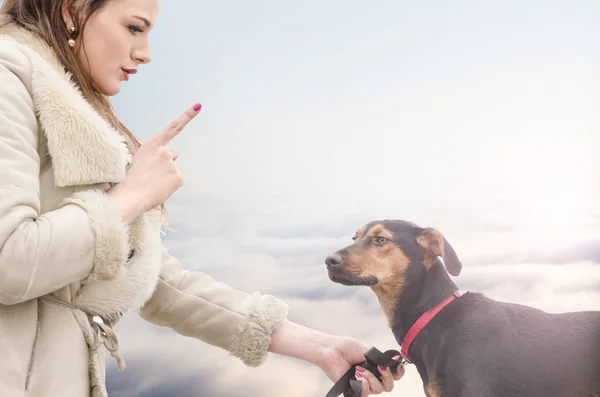 Dívka nebo špatný vlastník obtěžující psa venku — Stock fotografie