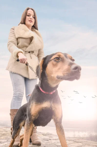 Menina andando com um cão e gosta de ao ar livre — Fotografia de Stock