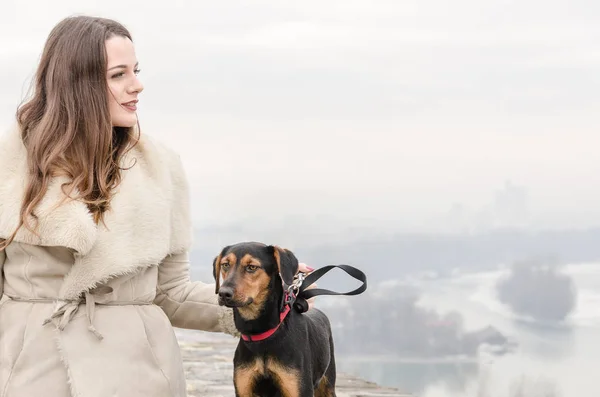 Menina andando com um cão e gosta de ao ar livre — Fotografia de Stock