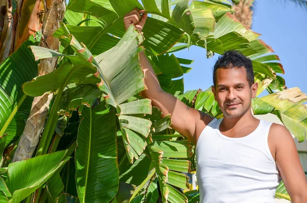 Hombre en una plantación de plátanos —  Fotos de Stock