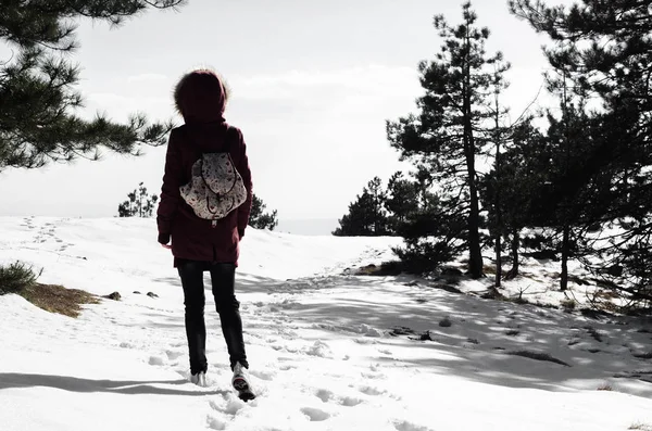 Ragazza arrampicata sulla montagna — Foto Stock