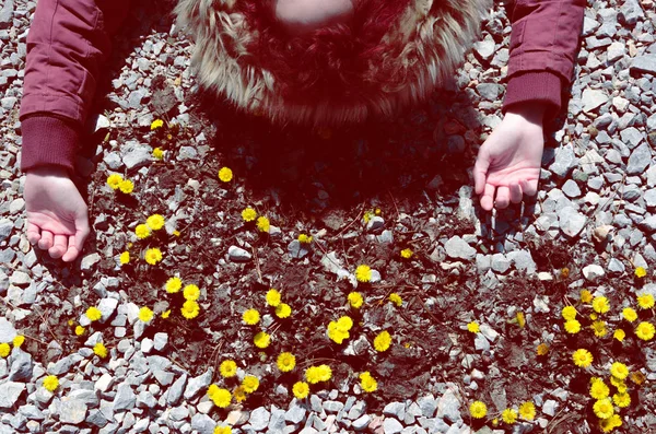Menina deitada nas flores da primavera da montanha — Fotografia de Stock
