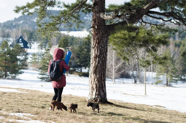 バックパックを持つ少女が子犬と散歩します。 — ストック写真