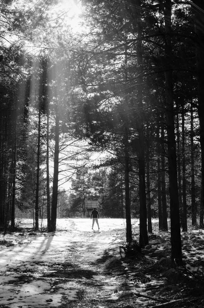 Człowiek w lesie zimą. — Zdjęcie stockowe