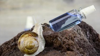 Salyangoz kozmetik ambalaj üzerinde