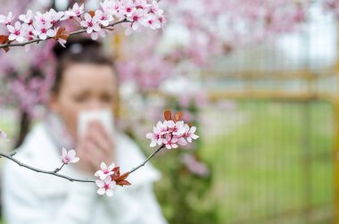 Bahar çiçekleri, polen, ragweed için alerjik reaksiyonlar