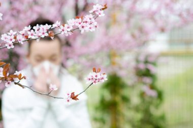 Bahar çiçekleri, polen, ragweed için alerjik reaksiyonlar