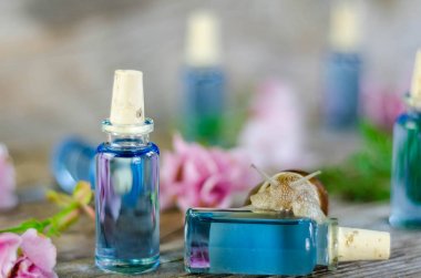 Salyangoz tırmanış cam şişe