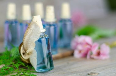 Şişe üzerinde tırmanma salyangoz 