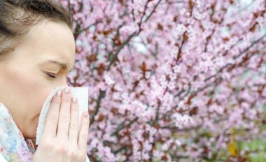 Bahar çiçekleri, polen, ragweed için alerjik reaksiyonlar